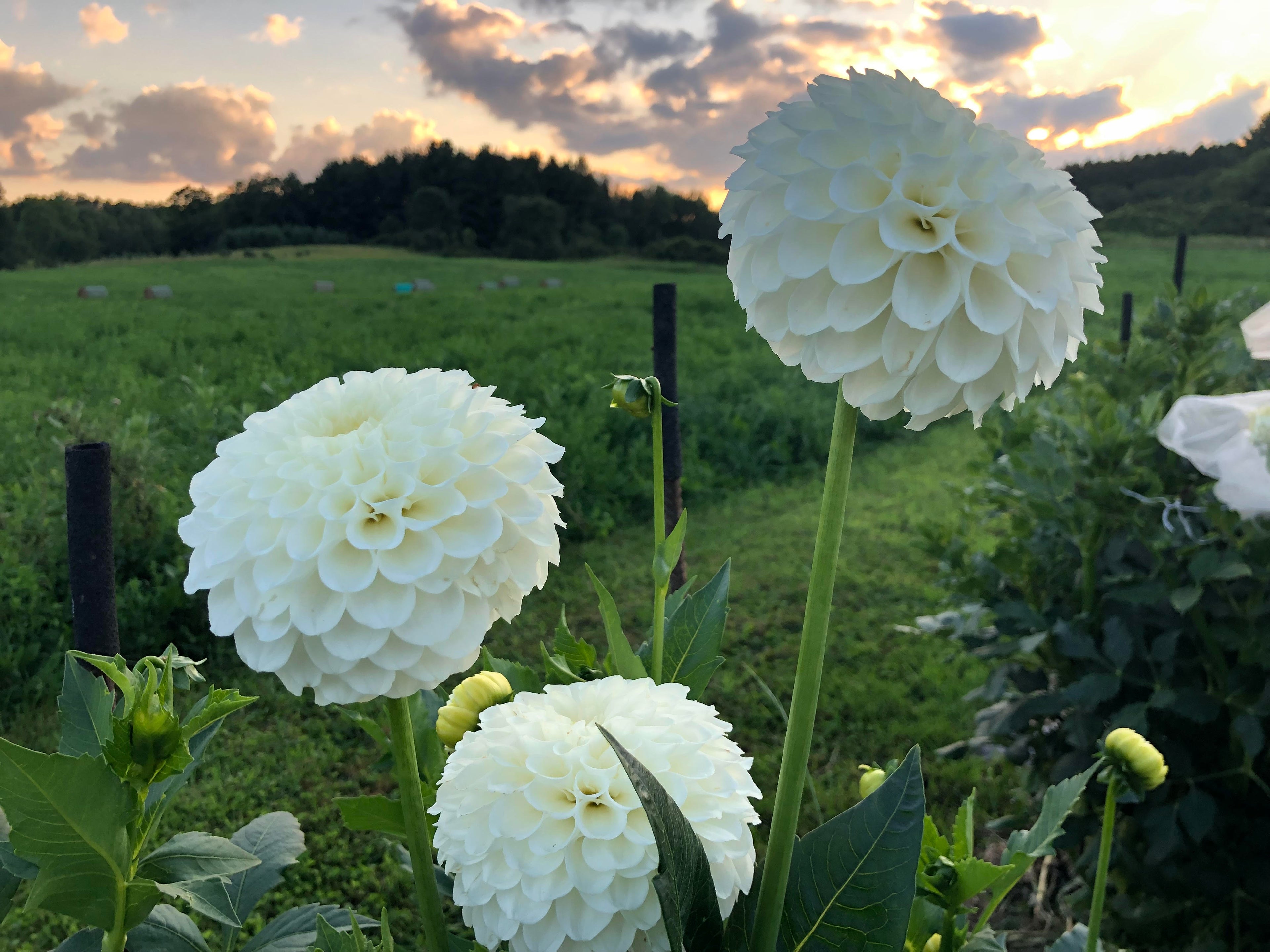 20th Ave and Baker Road