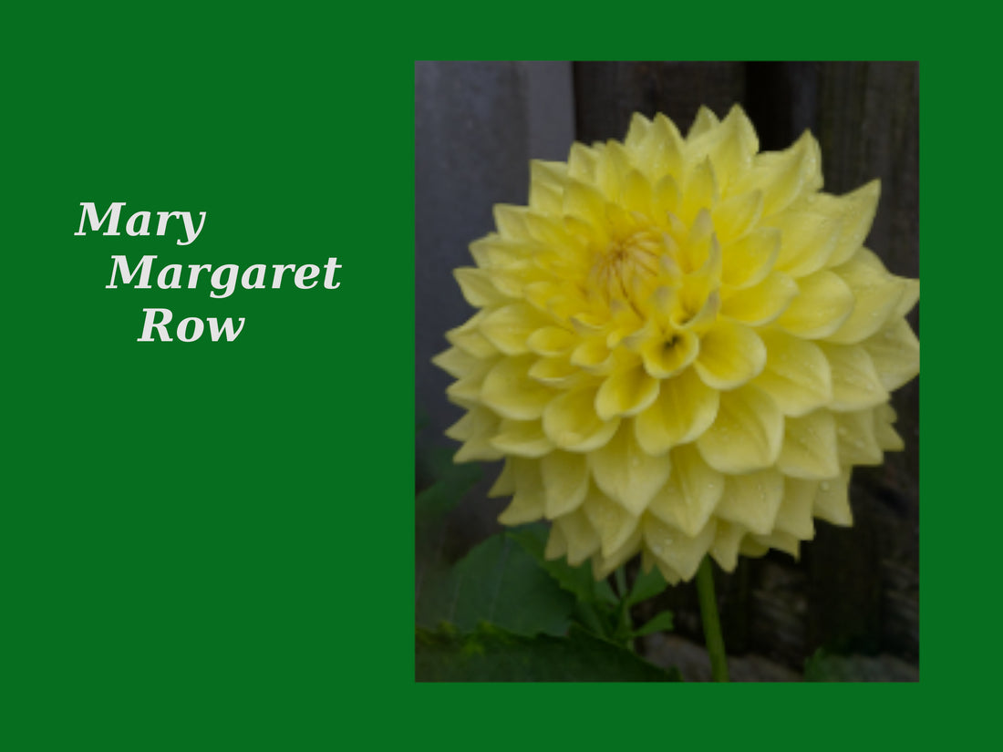 Mary Margaret Row