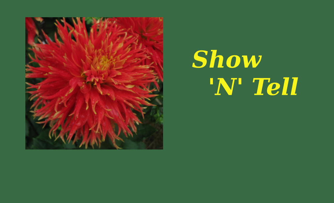 Show &