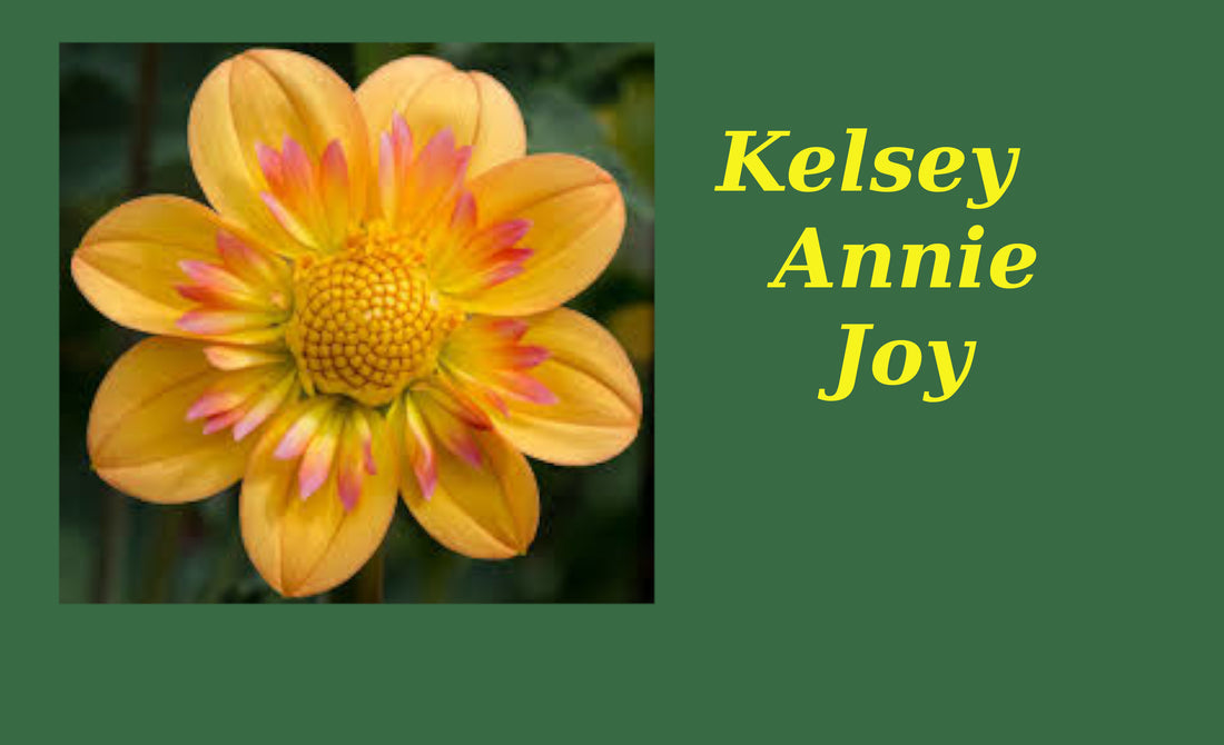 Kelsey Annie Joy